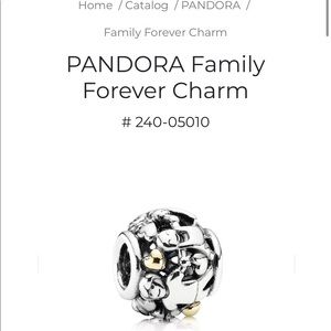 Auth. Retired Pandora Two Tone Family Forever Charm